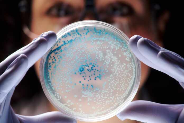Types Microbes Know Test