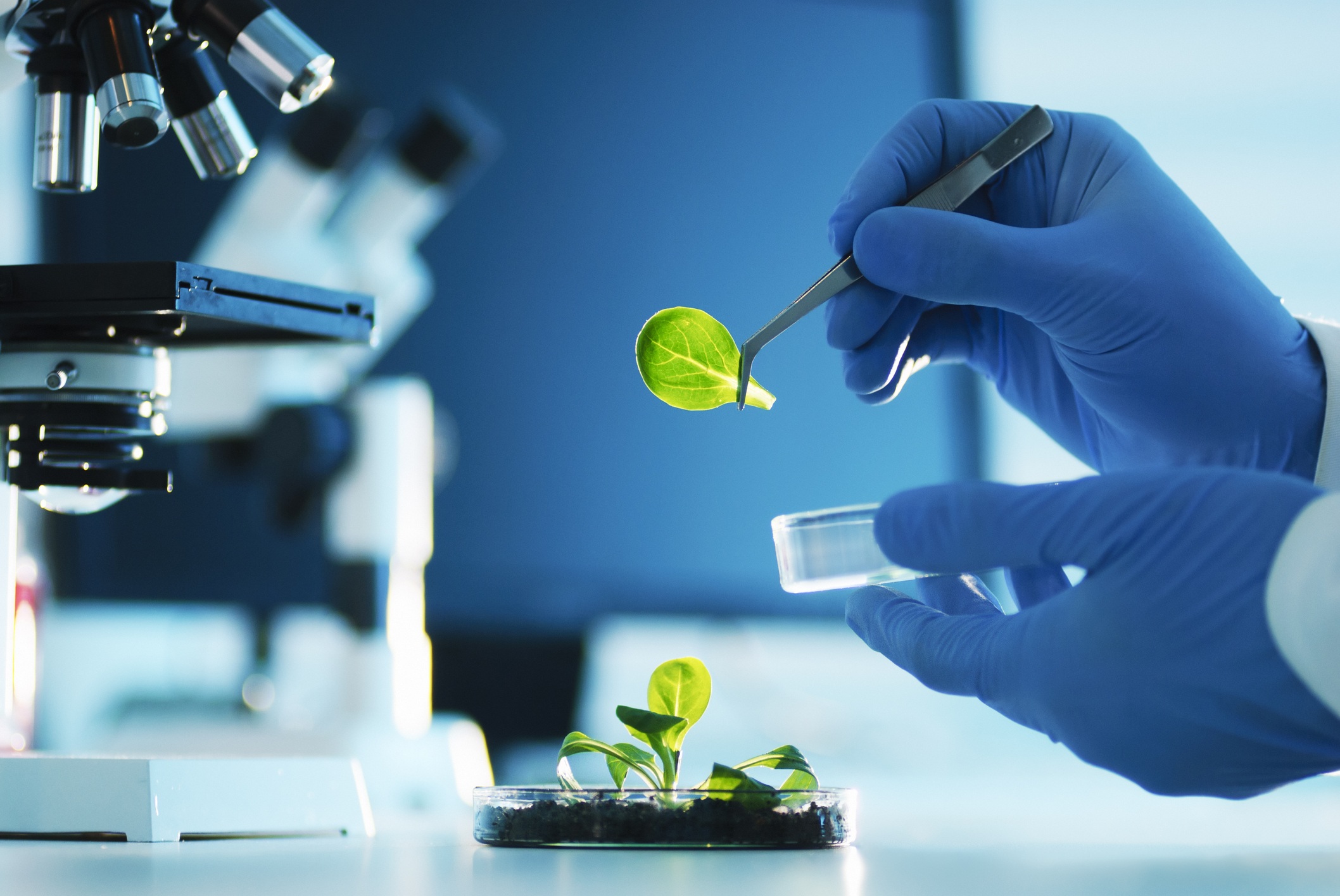 What Is Bioengineering A Guide For Beginners BleBur What Is Bioengineering A Guide For Beginners BleBur